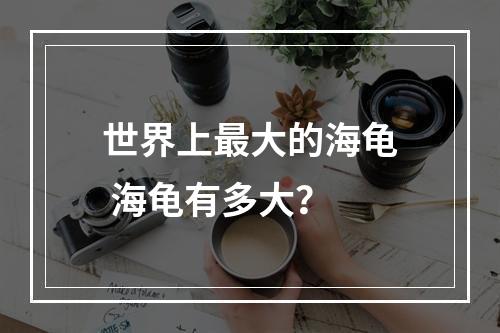 世界上最大的海龟 海龟有多大？