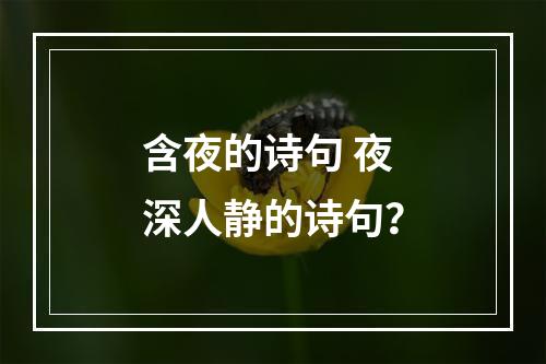 含夜的诗句 夜深人静的诗句？