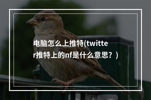 电脑怎么上推特(twitter推特上的nf是什么意思？)