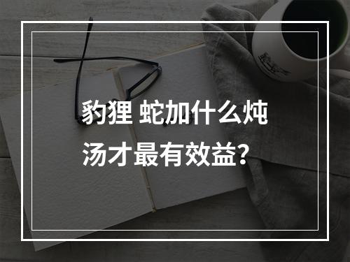 豹狸 蛇加什么炖汤才最有效益？