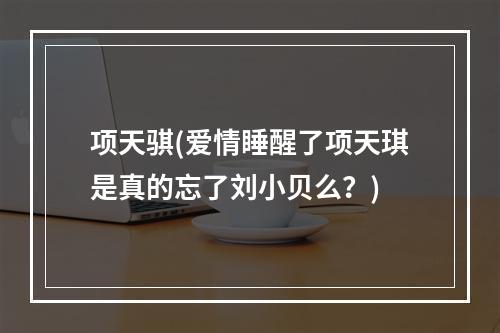 项天骐(爱情睡醒了项天琪是真的忘了刘小贝么？)