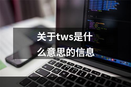 关于tws是什么意思的信息