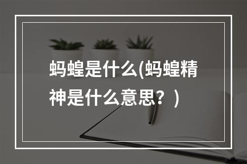 蚂蝗是什么(蚂蝗精神是什么意思？)