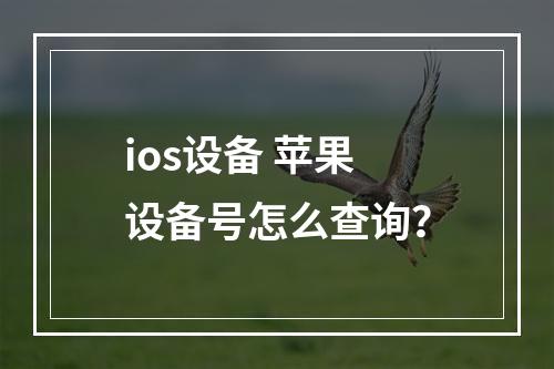 ios设备 苹果设备号怎么查询？