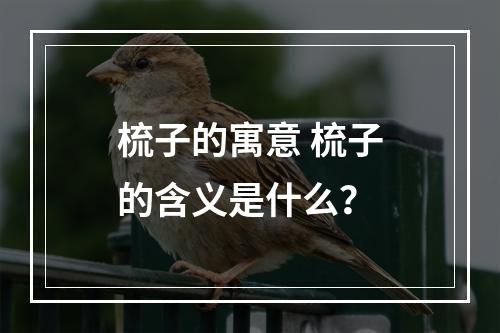 梳子的寓意 梳子的含义是什么？