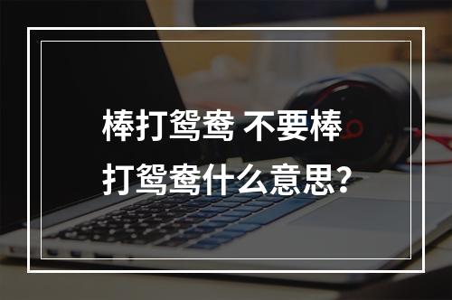 棒打鸳鸯 不要棒打鸳鸯什么意思？