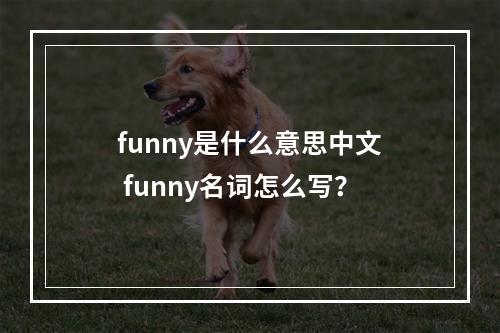 funny是什么意思中文 funny名词怎么写？