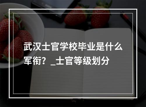 武汉士官学校毕业是什么军衔？_士官等级划分