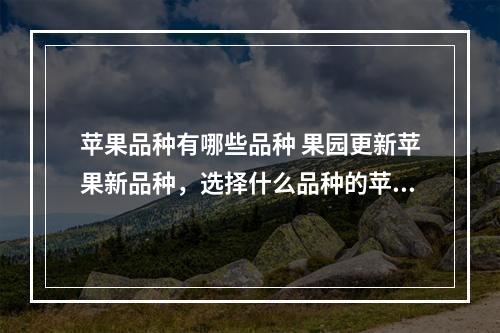 苹果品种有哪些品种 果园更新苹果新品种，选择什么品种的苹果好？