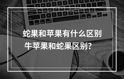 蛇果和苹果有什么区别 牛苹果和蛇果区别？