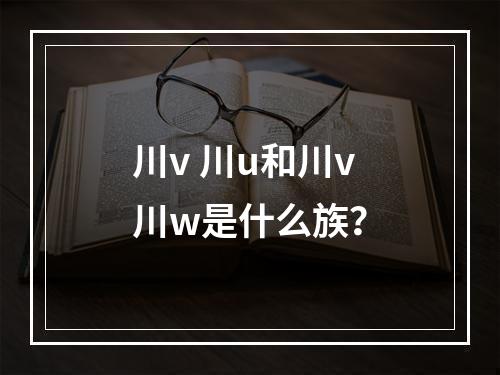 川v 川u和川v川w是什么族？