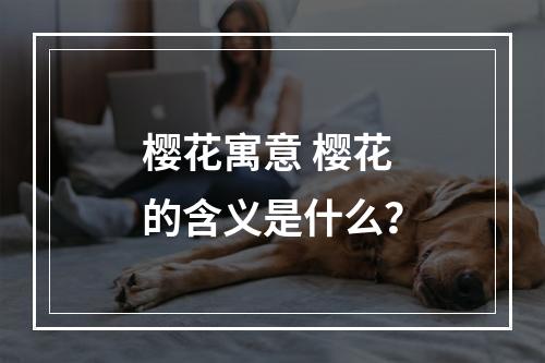 樱花寓意 樱花的含义是什么？