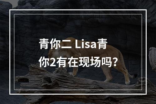 青你二 lisa青你2有在现场吗？