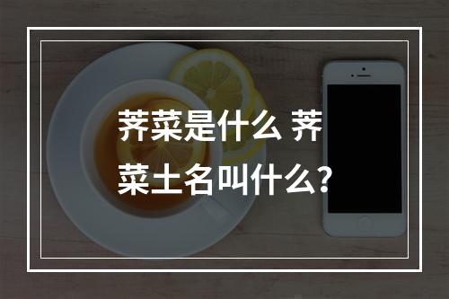 荠菜是什么 荠菜土名叫什么？