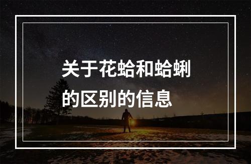 关于花蛤和蛤蜊的区别的信息