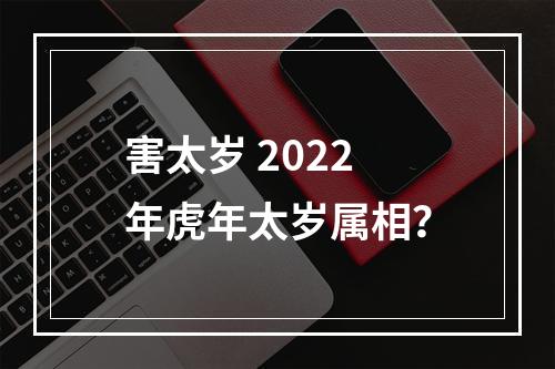 害太岁 2022年虎年太岁属相？