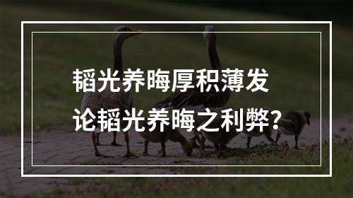 韬光养晦厚积薄发 论韬光养晦之利弊？