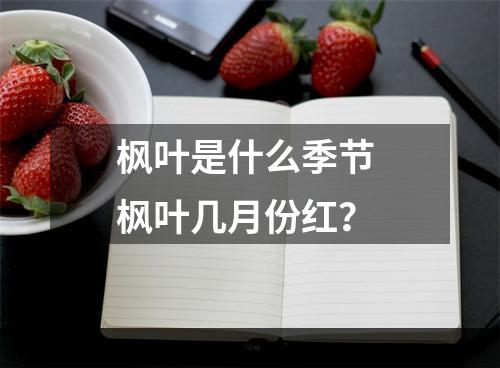 枫叶是什么季节 枫叶几月份红？