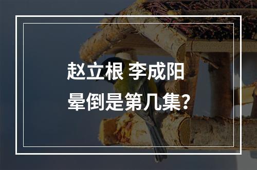 赵立根 李成阳晕倒是第几集？