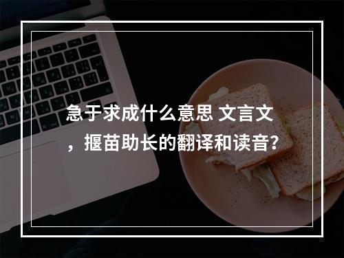 急于求成什么意思 文言文，揠苗助长的翻译和读音？