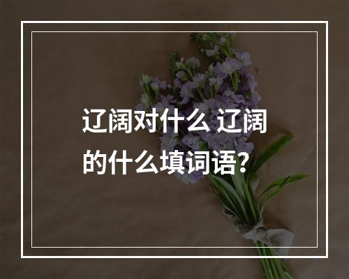 辽阔对什么 辽阔的什么填词语？