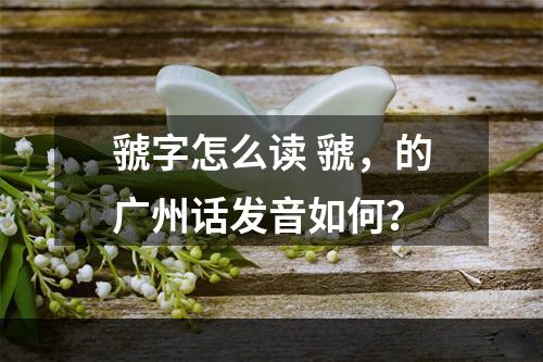 虢字怎么读 虢，的广州话发音如何？