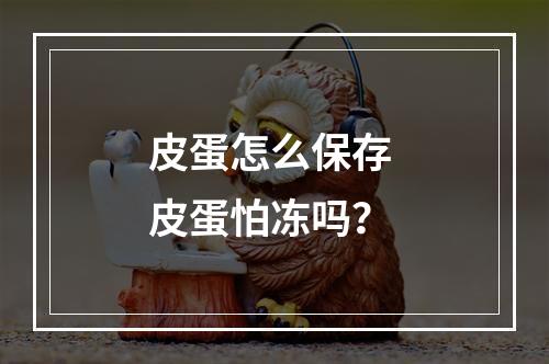 皮蛋怎么保存 皮蛋怕冻吗？