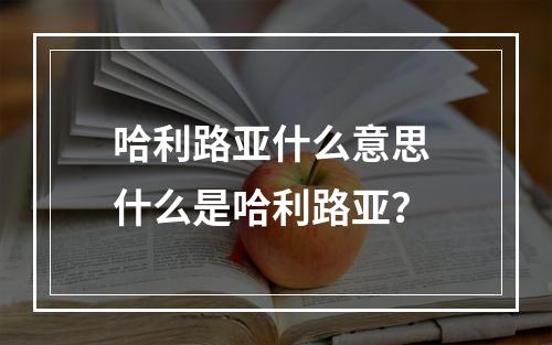 哈利路亚什么意思 什么是哈利路亚？