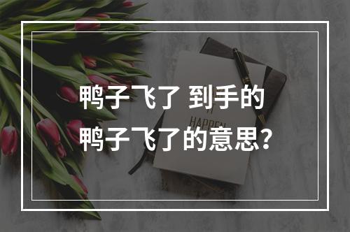 鸭子飞了 到手的鸭子飞了的意思？