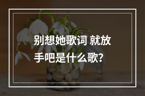 别想她歌词 就放手吧是什么歌？