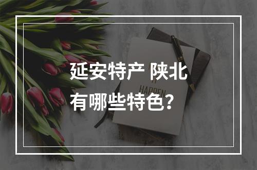 延安特产 陕北有哪些特色？