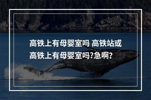 高铁上有母婴室吗 高铁站或高铁上有母婴室吗?急啊？