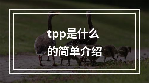 tpp是什么的简单介绍