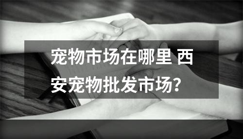 宠物市场在哪里 西安宠物批发市场？