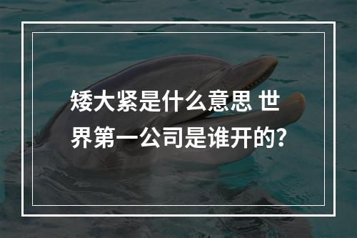 矮大紧是什么意思 世界第一公司是谁开的？