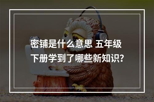 密铺是什么意思 五年级下册学到了哪些新知识？