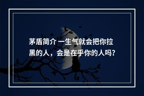 茅盾简介 一生气就会把你拉黑的人，会是在乎你的人吗？