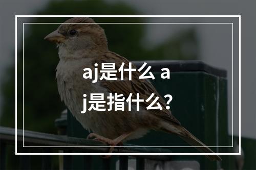 aj是什么 aj是指什么？