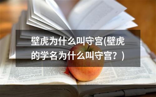 壁虎为什么叫守宫(壁虎的学名为什么叫守宫？)